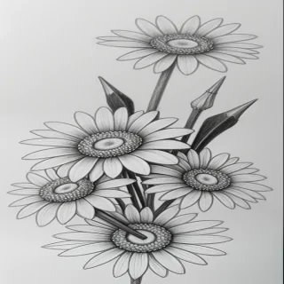 pencil draw flower
