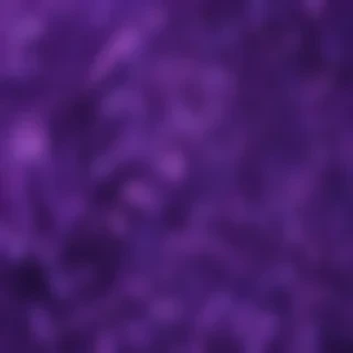 aesthetic purple pictures