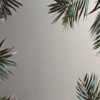 aesthetic minimalist wallpaper iphone