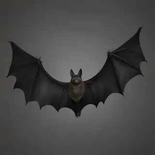 bat wings png