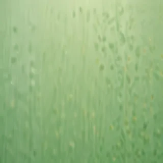 plain light green background