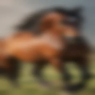 horse images drawing