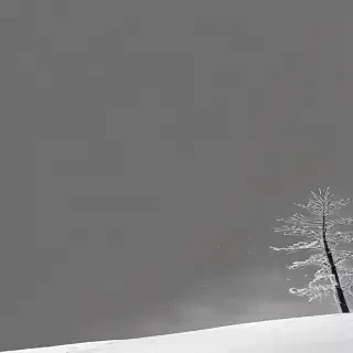 snow transparent background