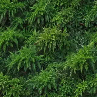 greenery png