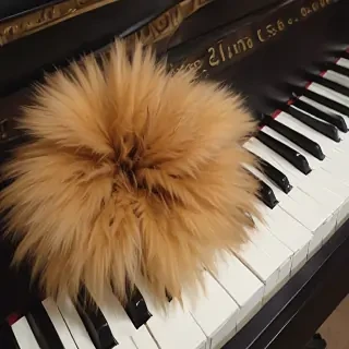 fur elise piano