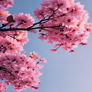 aesthetic wallpapers phone