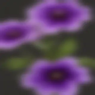 purple flowers png