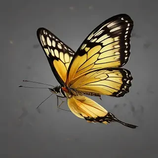 butter fly png