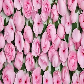 feminine background