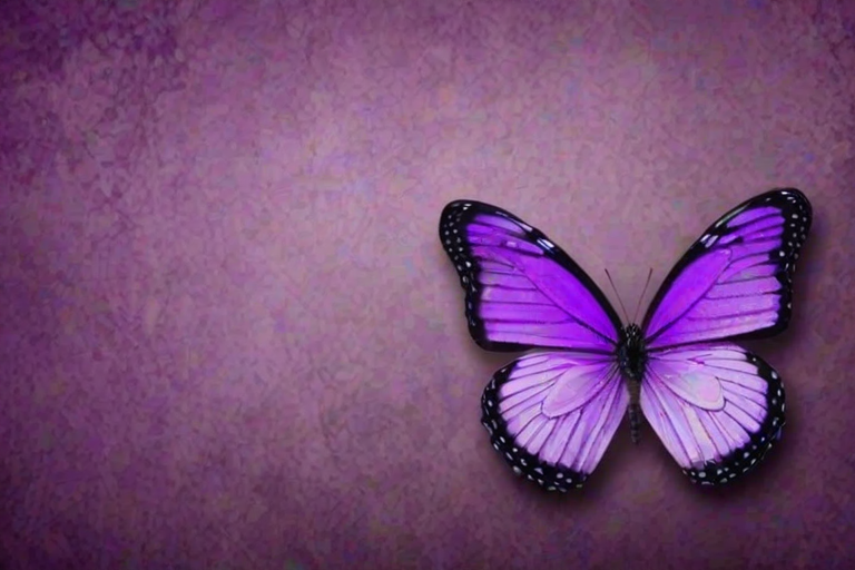 purple butterfly background