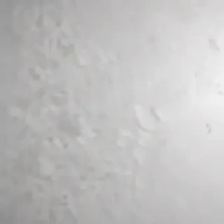 white gray background