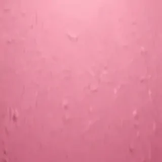 pink blank background