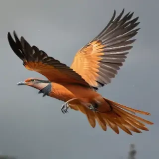 bird flying png