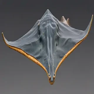 stingray png