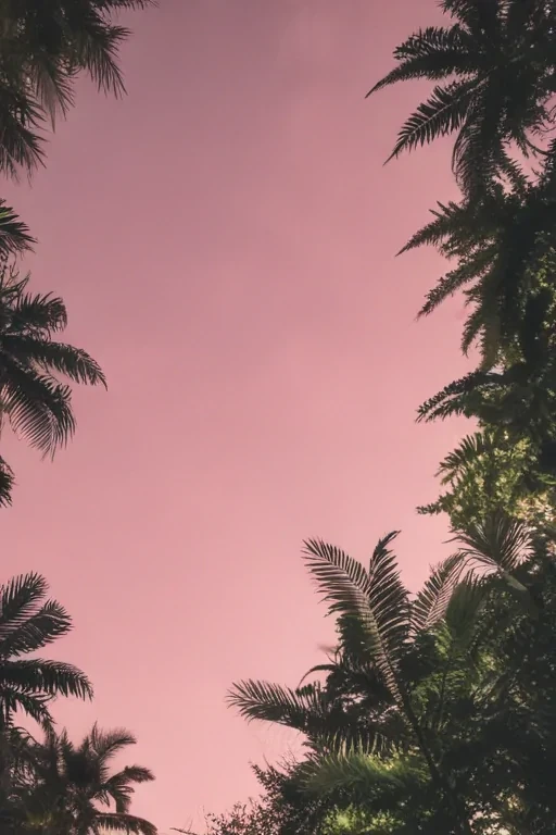 aesthetic ig story background