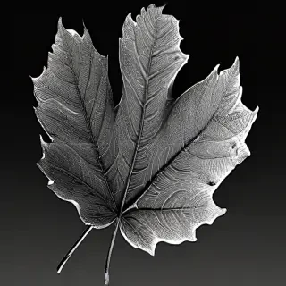 clipart of leaf black and white
