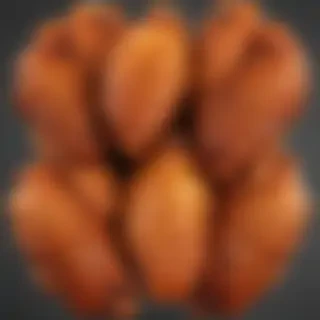 chicken wings png