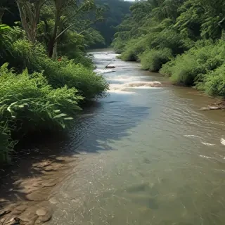 river png