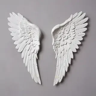 picture of angel wings