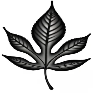 leaf clipart black and white