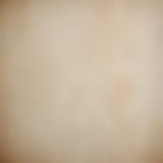 grain paper texture