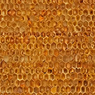 honeycomb png