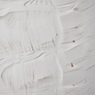 texture white wood