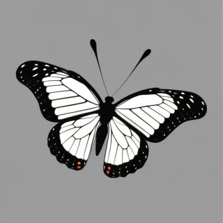 butterfly png black and white