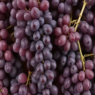 grapes png