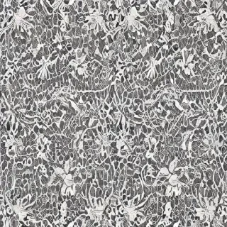 lace pattern png