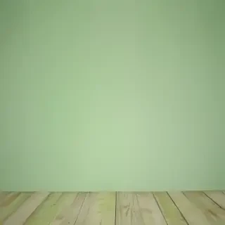 plain light green background