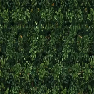 plant wallpaper