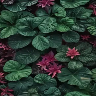 plants iphone wallpaper