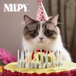 happy belated birthday images