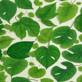 green leaf design