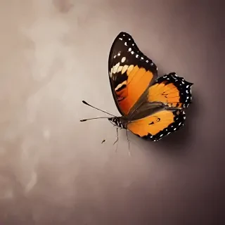 background images of butterfly