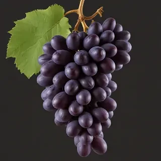 grape png
