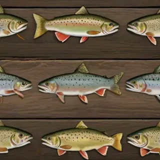 trout fish