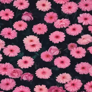 iphone background aesthetic
