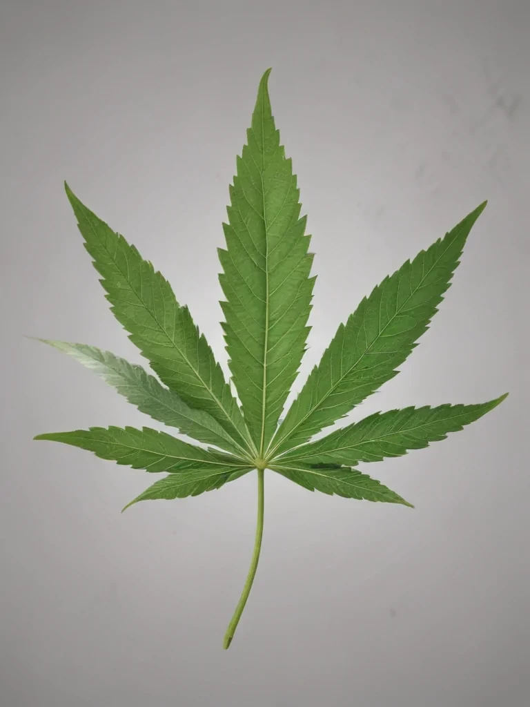 weed leaf png