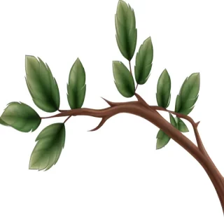 tree branch png