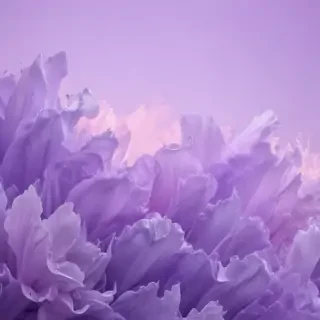 pastel purple wallpaper iphone