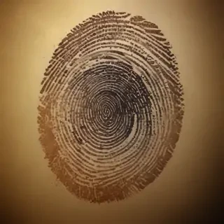 fingerprint png
