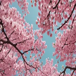 aesthetic wallpaper spring