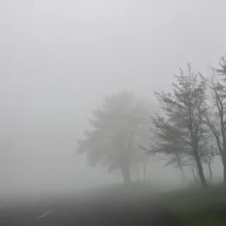 fog transparent background