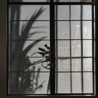 shadow window