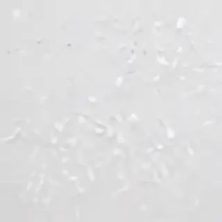 white bg