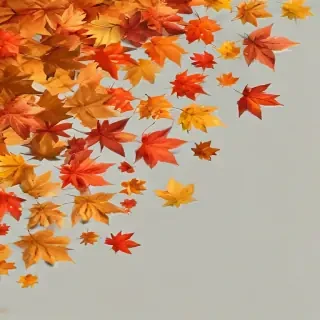 autumn leaves png