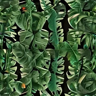 tropical leaf png