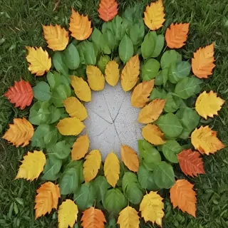 leaf circle
